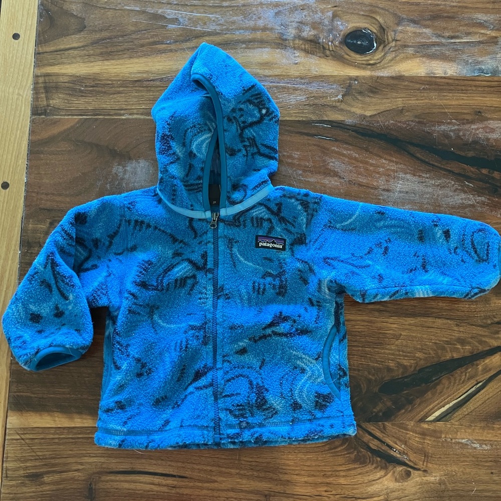 Patagonia Synchilla Fleece